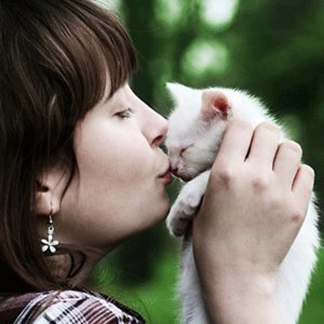 Kitty kiss. Воздушный поцелуй фото животные. Kiss Cat model. Animal Kiss women. Animal Kiss girl.