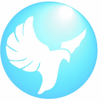 Vimeo profile picture for @windward