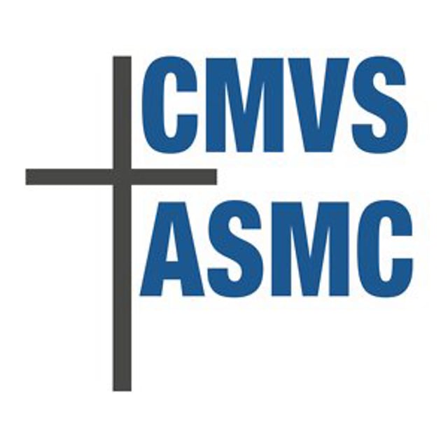 CMVS