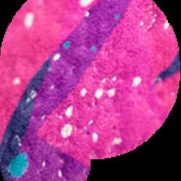 Vimeo profile picture for @pounce