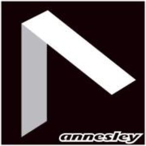 Profile picture for ANNESLEY SURFBOARDS
