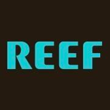 Vimeo profile picture for @reef