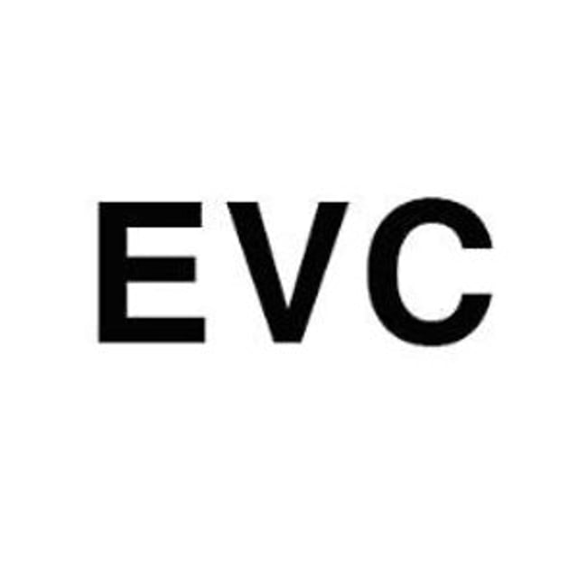 Evc group тесла