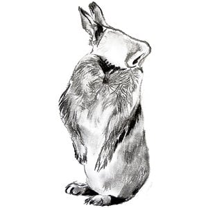 Profile picture for Estelle Chauvard