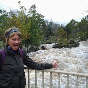 Profile picture for Melissa Redfield