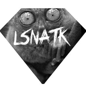 Profile picture for LSNATK/A.LICINIO