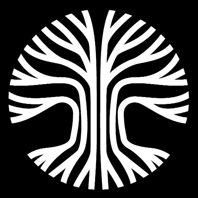 7VISION STUDIOS - Director, Videographer & Video Editor