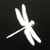 Dragonfly Media