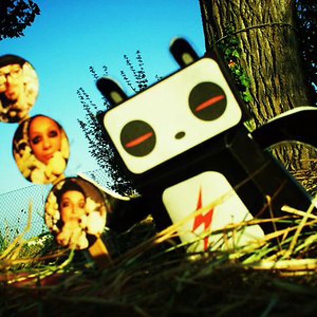 panda project