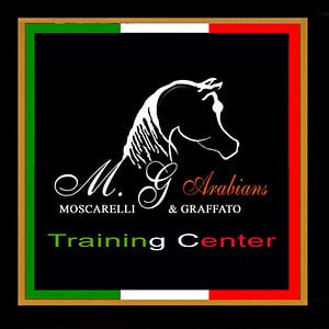 Profile picture for MG Arabians