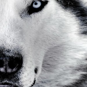 Profile picture for jirimalis