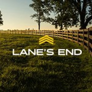 Profile picture for Lane's End