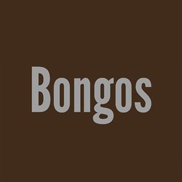 Vimeo profile picture for @bongos