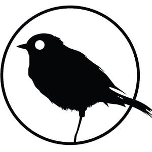 Profile picture for blackbird