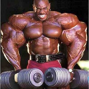 Profile picture for Harry Mcilhargey