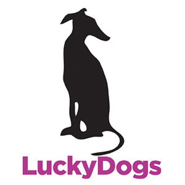 Lucky Dogs
