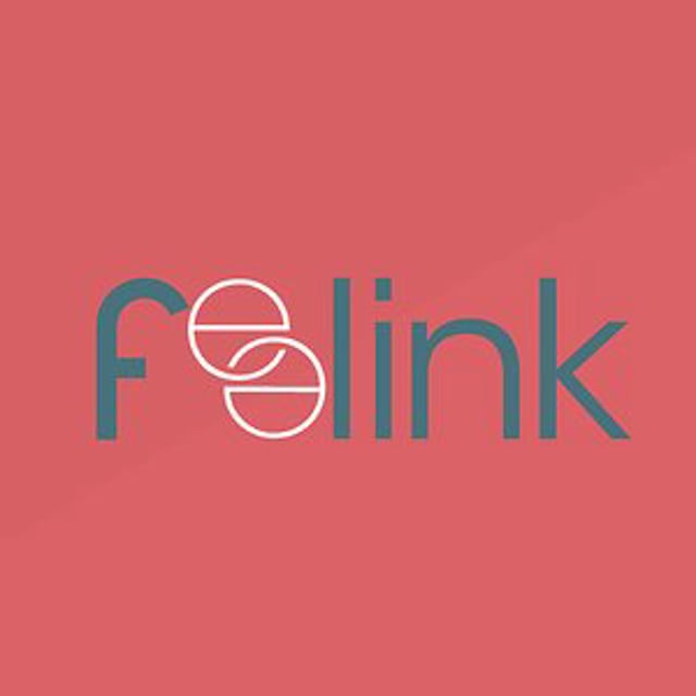 Feelink project
