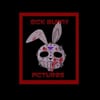 Sick Bunny Pictures