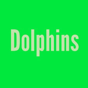 Vimeo profile picture for @dolphins