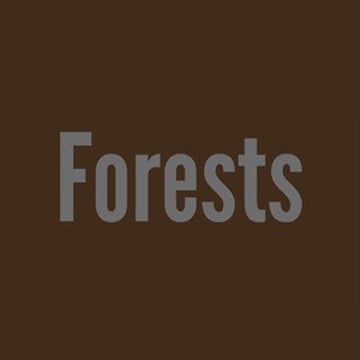 Vimeo profile picture for @forests