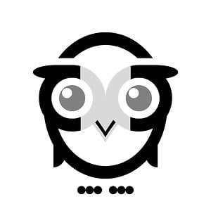 Profile picture for Electric Birds