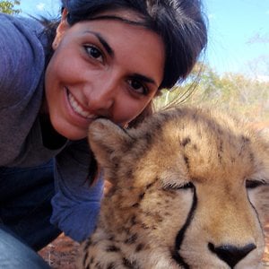 Profile picture for Celeste Pollicino