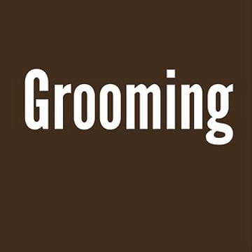 Vimeo profile picture for @grooming