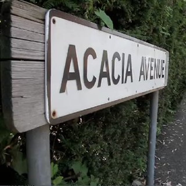 Acacia Avenue