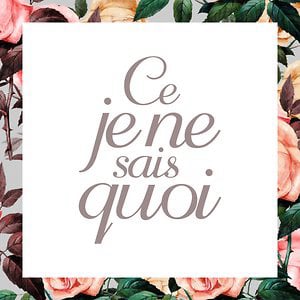 Profile picture for ◦◊◦CeJeNeSaisQuoi◦◊◦