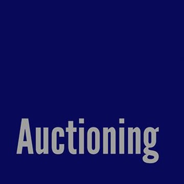 Vimeo profile picture for @auctioning