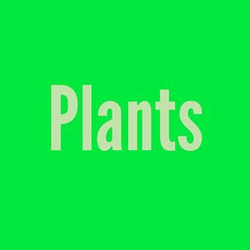 Vimeo profile picture for @plants