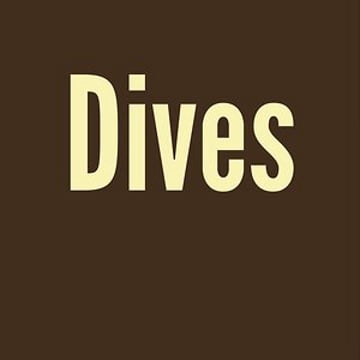 Vimeo profile picture for @dives