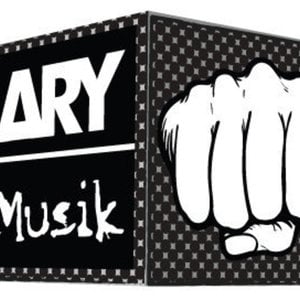 Profile picture for ary musik