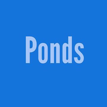 Vimeo profile picture for @ponds