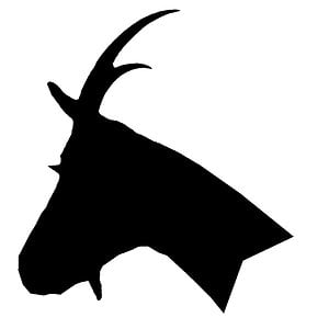 Profile picture for VERZASCA FOTO