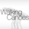 Walking Canoes