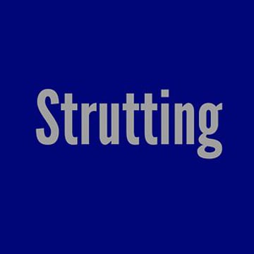 Vimeo profile picture for @strutting