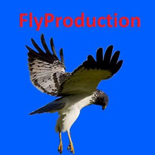 Fly Production