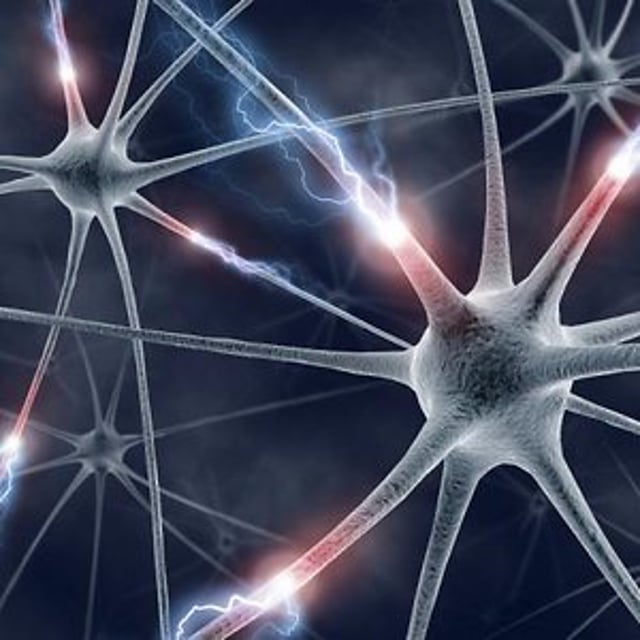 NeuroStudies