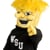 Wichita State Admissions