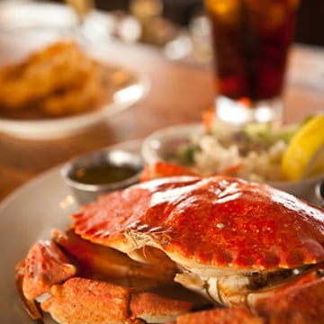 Vimeo profile picture for @shellfish
