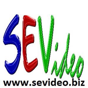 Profile picture for SEVideo