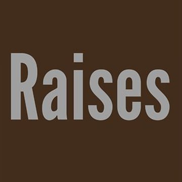 Vimeo profile picture for @raises