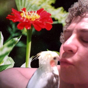 Profile picture for birdsdaword