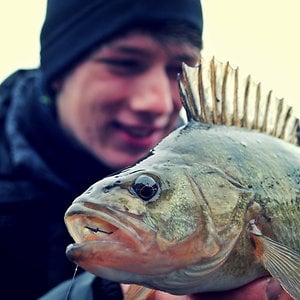 Profile picture for Willem Romeijn