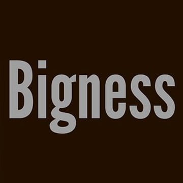 Vimeo profile picture for @bigness