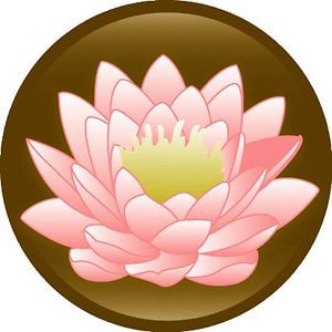 Profile picture for Lotus Outreach