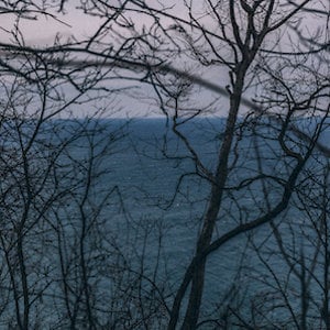 Profile picture for Last Leaves