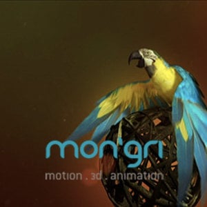 Profile picture for mongri