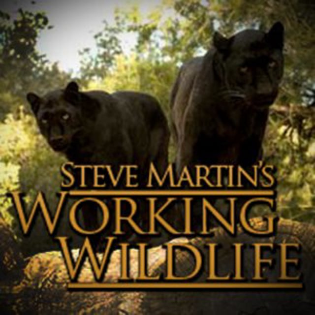 Working Wildlife